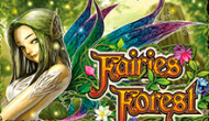 Fairies Forest