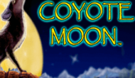 Coyote Moon